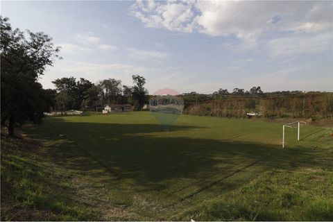 Foto Terreno