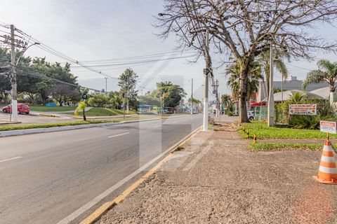 Foto Terreno