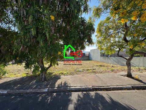 Foto Terreno