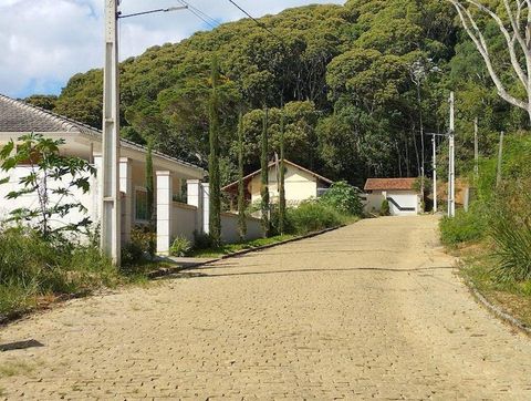 Foto Terreno