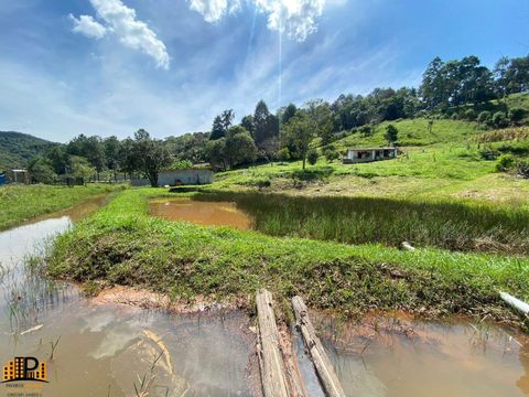 Foto Fazenda / Sítio / Chácara