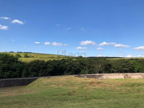 Foto Terreno