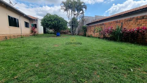 Foto Terreno