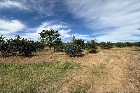 Foto Fazenda / Sítio / Chácara