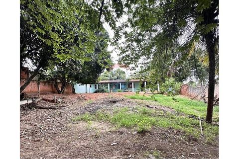 Foto Fazenda / Sítio / Chácara