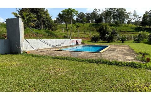 Foto Fazenda / Sítio / Chácara