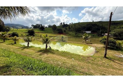 Foto Fazenda / Sítio / Chácara