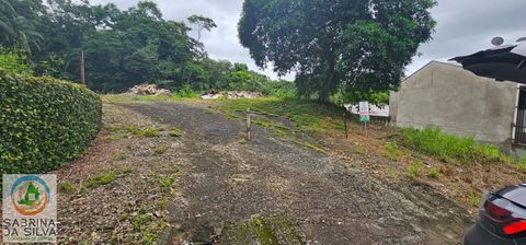 Foto Terreno