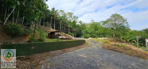 Foto Terreno