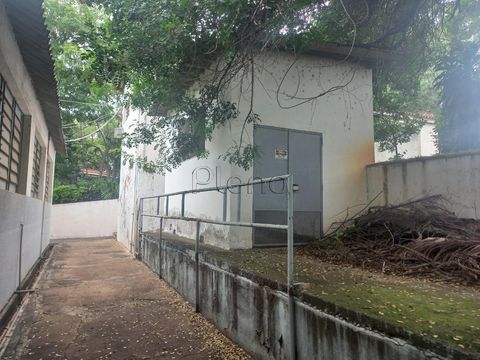 Foto Edifício Inteiro