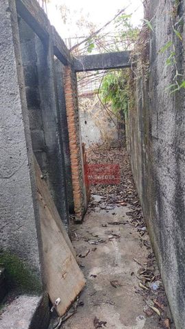 Foto Terreno