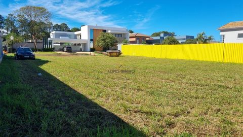 Foto Terreno