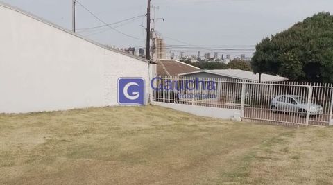 Foto Terreno
