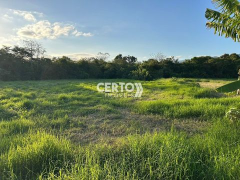 Foto Terreno