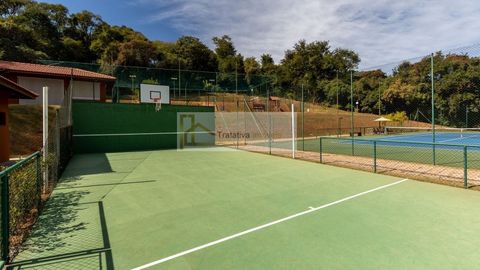 Foto Terreno