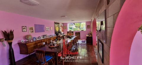 Foto Fazenda / Sítio / Chácara