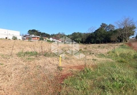 Foto Terreno