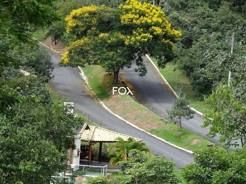 Foto Terreno