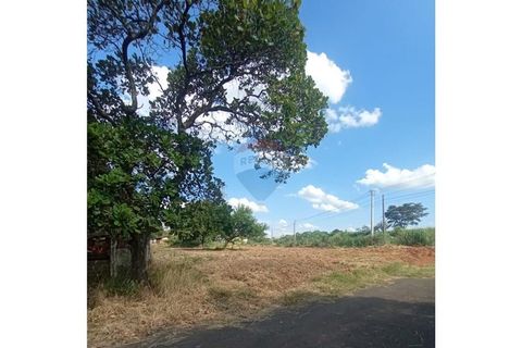 Foto Terreno