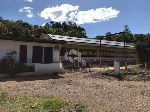Foto Fazenda / Sítio / Chácara