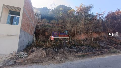 Foto Terreno