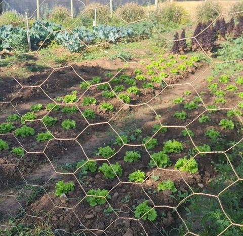Foto Terreno