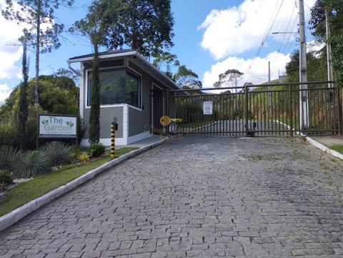 Foto Terreno