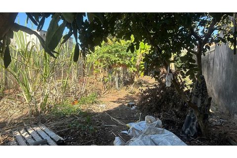 Foto Terreno