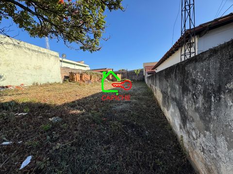 Foto Terreno