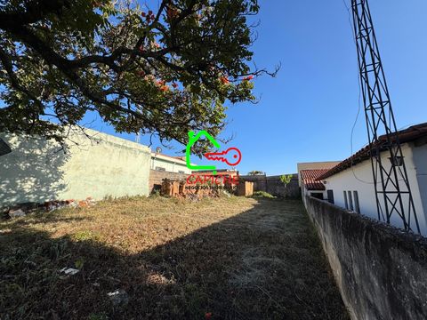 Foto Terreno