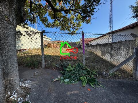 Foto Terreno