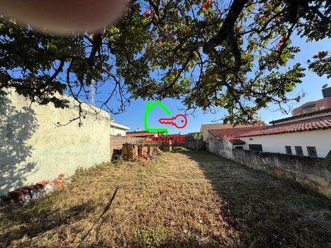 Foto Terreno