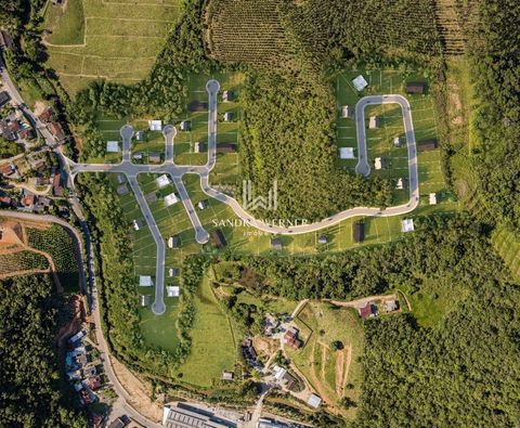 Foto Terreno