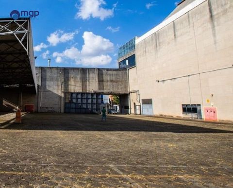 Foto Edifício Inteiro