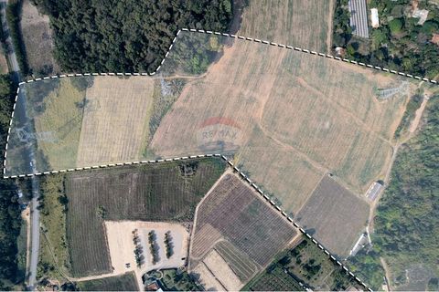 Foto Fazenda / Sítio / Chácara