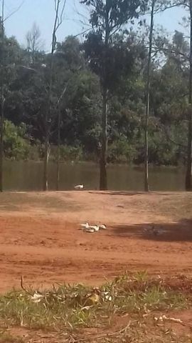 Foto Terreno