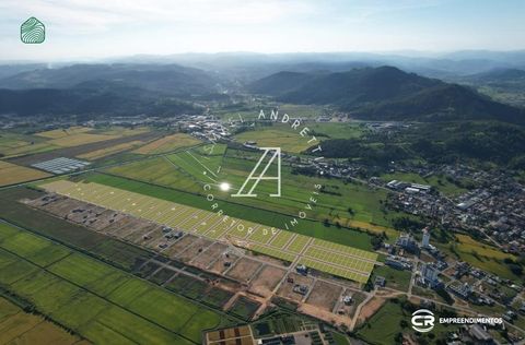 Foto Terreno