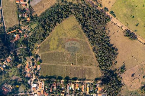 Foto Fazenda / Sítio / Chácara