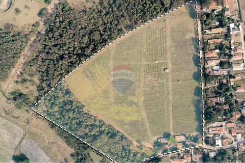 Foto Fazenda / Sítio / Chácara