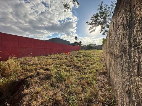 Foto Terreno