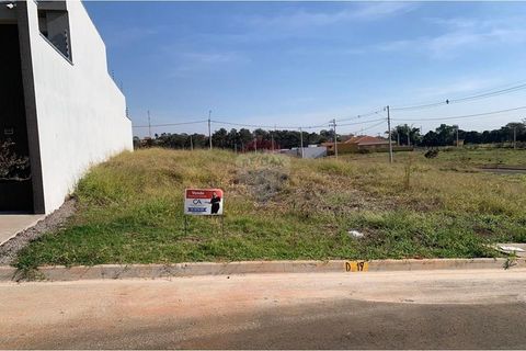 Foto Terreno