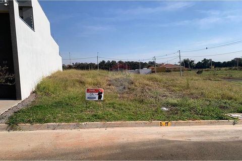 Foto Terreno