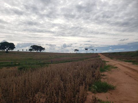 Foto Fazenda / Sítio / Chácara