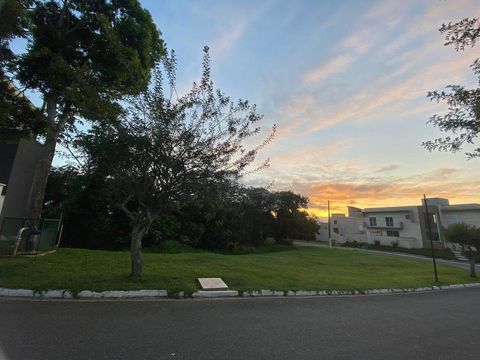 Foto Terreno