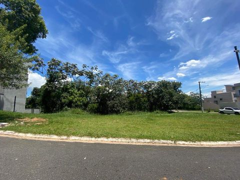Foto Terreno