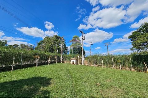 Foto Fazenda / Sítio / Chácara