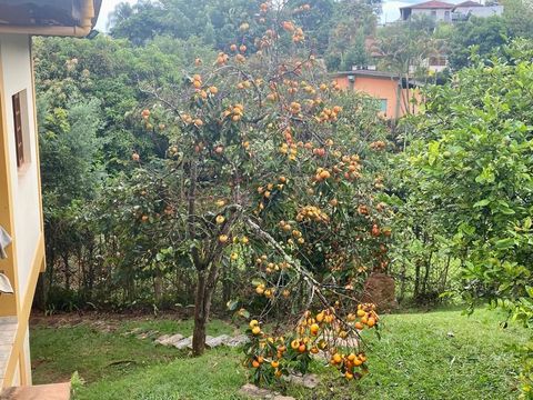 Foto Fazenda / Sítio / Chácara