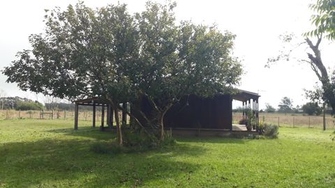 Foto Fazenda / Sítio / Chácara