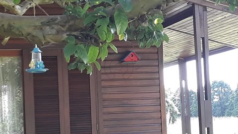 Foto Fazenda / Sítio / Chácara