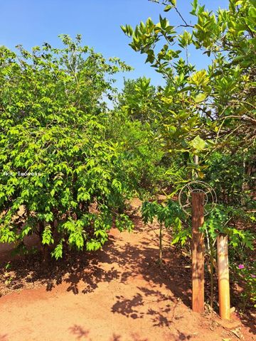 Foto Fazenda / Sítio / Chácara